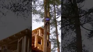 Thumbnail: 25 FT. HIGH Treehouse Rooftop Build! | Treehouse Masters | Animal Planet