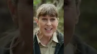 Thumbnail: Can These Cassowaries Save Their Species #shorts | Crikey! It's The Irwins | Animal Planet India