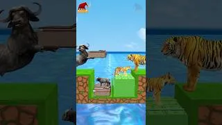 Thumbnail: Do You Choose The Knowledge Or The Money Tiger Vs Buffalo #shorts #tiger #buffalo
