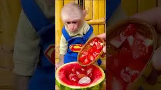 Thumbnail: Obi cuts a watermelon to make mixed fruit #animalshome #cute #obi #babymonkey #10welcome