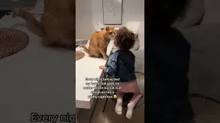 Thumbnail: This is the cutest thing ever 🥹❤️ #animals #cat #cats #catshorts #kidsandcats #cats #catlover