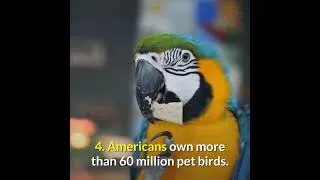 Thumbnail: Animal #Shorts fact video | Amazing #pet facts Part 13