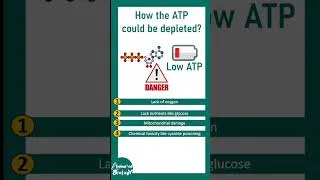 Thumbnail: ATP depletion and cell injury | why ATP is so important ? pathology