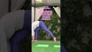 Thumbnail: Yoga #cat #joyfulworkout #pilates #move #50 #sports #selflove #mobility #motivation #yoga #stretch