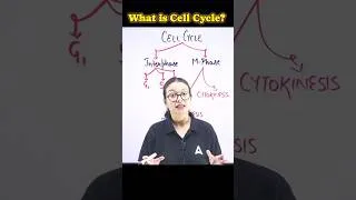 Thumbnail: What is Cell Cycle? Different phases of cellcycle #neetbiology #class11biology #cellbiology #science