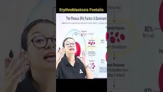 Thumbnail: What is Erythroblastosis Foetalis? #neetbiology #ytshorts #class11biology #science