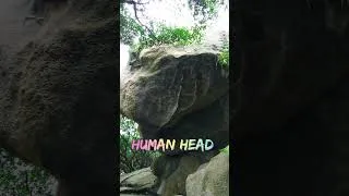Thumbnail: Human head #beautifulhk #hknature #explorehk #cheungchau #nature #islandhopping #hktrail #hkadventur