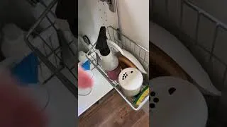Thumbnail: On Sundays we clean 🧼