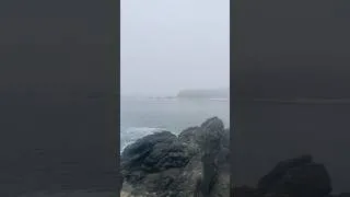 Thumbnail: California Oregon coast trip 🌁  #coastal #roadtrip #travel