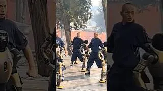 Thumbnail: What is China Doing With AI Robots?