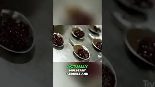 Thumbnail: The Risotto of Mulberries #anthonybourdain