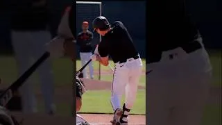 Thumbnail: That Sound Off Adley Rutschman’s Bat 👀