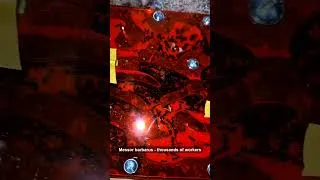 Thumbnail: Our Barbarus Colony Outgrew Its Nest 🐜 A or B? | ANTonTOP
