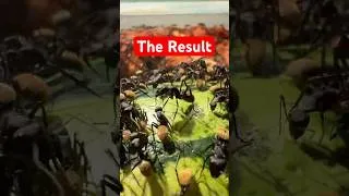 Thumbnail: This Ant Watermelon  Experiment Made No Sense 🍉 #ants #insects #feeding #macro