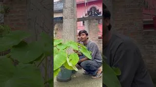 Thumbnail: Nakal utarta hai 😂🔥 #shorts #relatable #comedy #funny #funnyanimals #entertainment