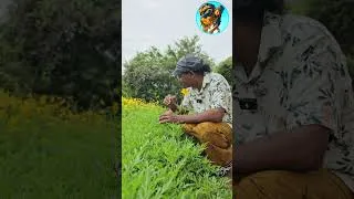 Thumbnail: මේ මල් වගේ හිනාවෙන්න