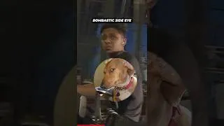 Thumbnail: DILJALAs of Mumbai