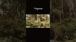 Thumbnail: 📍Meghamalai #meghamalai #tamilnadu #theni #roadtrip #monsoon