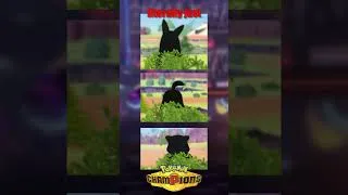 Thumbnail: Champions Silhouettes Reveal UNRELEASED Pokémon? #pokemon #shorts