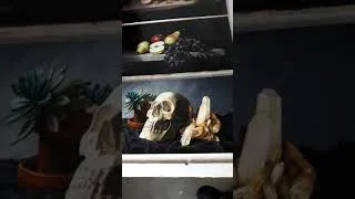 Thumbnail: Still life oil paintings