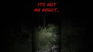 Thumbnail: SCARY Monsters in the Bushes 👻💀 ATS