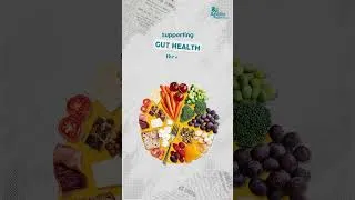 Thumbnail: The science behind the gut-hormone connection & Why is it Important? | Apollo Explains