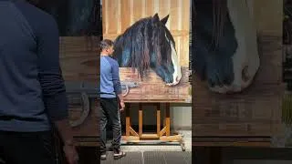 Thumbnail: Apollo The Shire Portrait Timelapse
