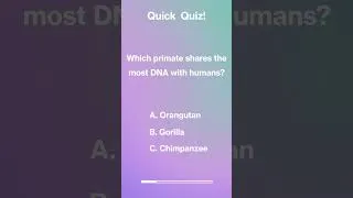 Thumbnail: Quick Quiz - General Trivia - Question 30 #trivia #quiz