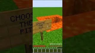 Thumbnail: Choose the pit ! #shorts #minecraft