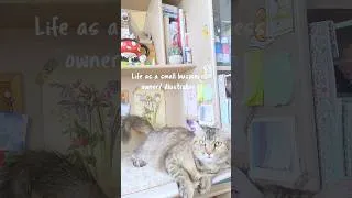 Thumbnail: life of a full time artist in the Philippines 🎨 #artistvlog #stationeryshop #artistlife