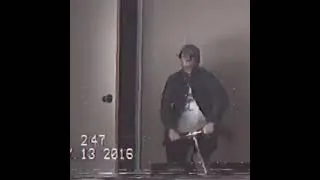 Thumbnail: "Street Craze Scooter World Tour (Secret New Mexico Indoor Session)" - Tree Collaborations Vine