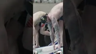 Thumbnail: We’re looking forward to this for years to come 👀 Filip Nowacki VS Adam Ramsay-Peaty