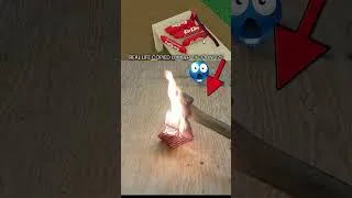 Thumbnail: Real Life Copied Lumber Tycoon 2?!?!