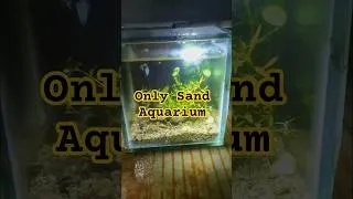 Thumbnail: Planted Tank sand only