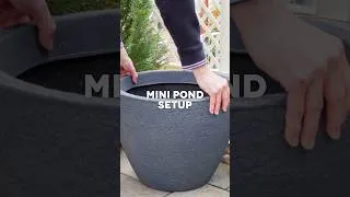 Thumbnail: How to Build a Small Garden Pond #minipond #patiopond #pondsetup