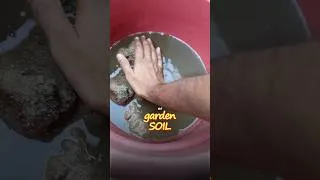 Thumbnail: I Built This Planted Tank Without Aquasoil || #aquarium #plantedtank