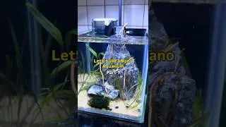 Thumbnail: Building a nano cube tank #nanotank #aquariumhobby