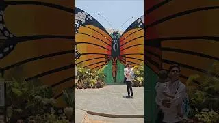 Thumbnail: Butterfly Park || Bannerghatta zoo #bannerghattabiologicalpark #bannerghattazoo