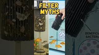 Thumbnail: Stop Cleaning Your Filter Wrong (Filter Myths)