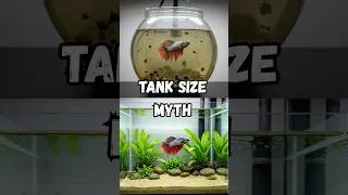 Thumbnail: Stop Putting Fish in Bowls (Tank Size Myth)