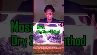 Thumbnail: Moss Dry start method. #aquascape #plantedaquarium #aquarium
