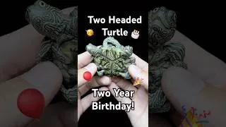 Thumbnail: Two Headed Turtle’s Two Year Birthday!