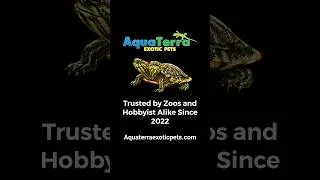 Thumbnail: AquaTerra Exotic Pets!