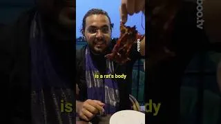 Thumbnail: Eating Rat in Cambodia 🐀 🇰🇭