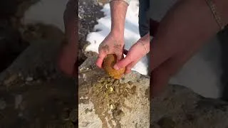 Thumbnail: Treasure hunting