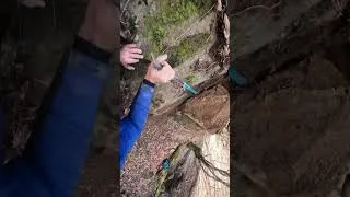 Thumbnail: I found real gold