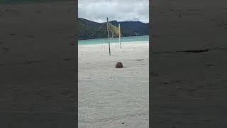 Thumbnail: Beach Life In The High North 🇳🇴