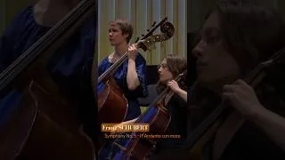 Thumbnail: SCHUBERT - Symphony No.5 - II: Andante con moto #classicalmusic #schubert #symphony