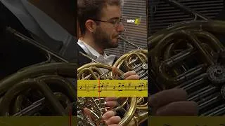 Thumbnail: Mahlers majestätische Hörner 📯📯📯 #klassischemusik