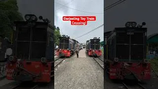 Thumbnail: UNESCO World Heritage Darjeeling Himalayan Railway Toy Train Crossing!